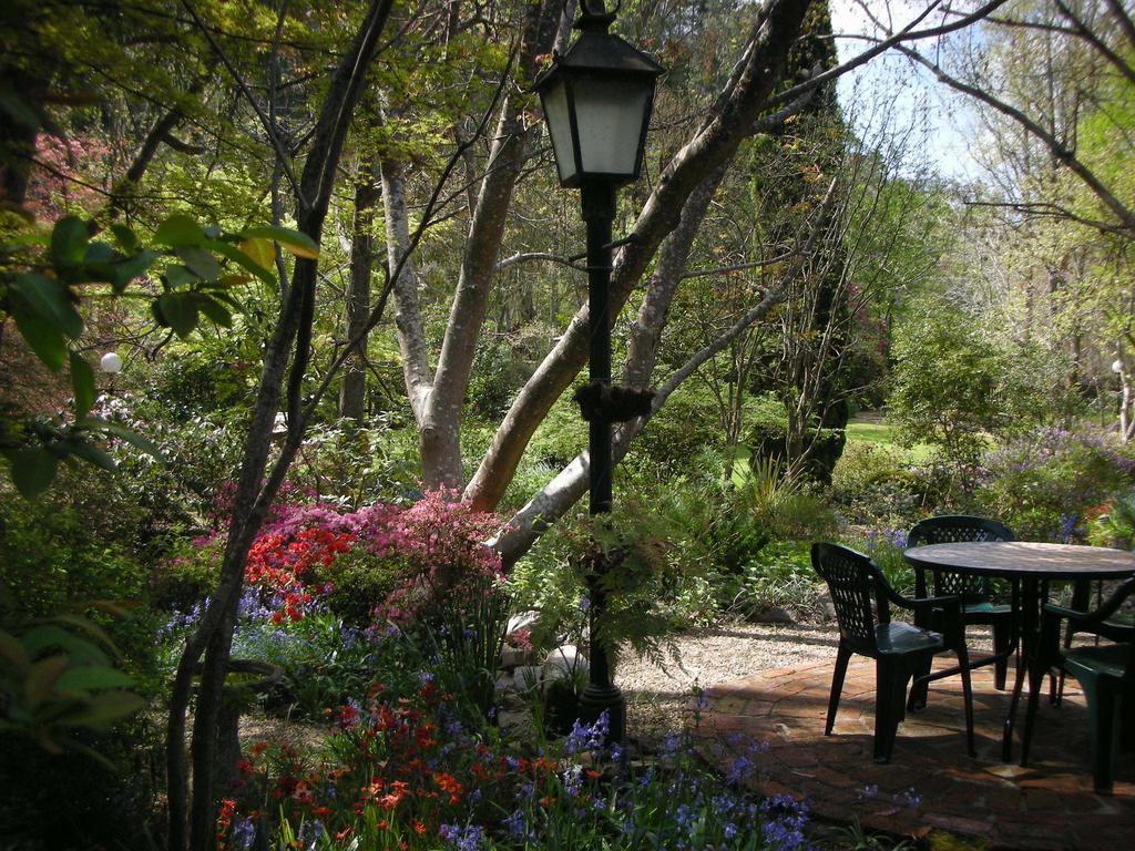 Merrimeet Cottages Bright Oda fotoğraf